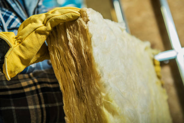 Best Insulation Maintenance and Repair in Panama City, FL